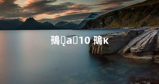 鳵ƽ̨аǰ10 鳵ĸ